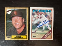 Goose Gossage.webp